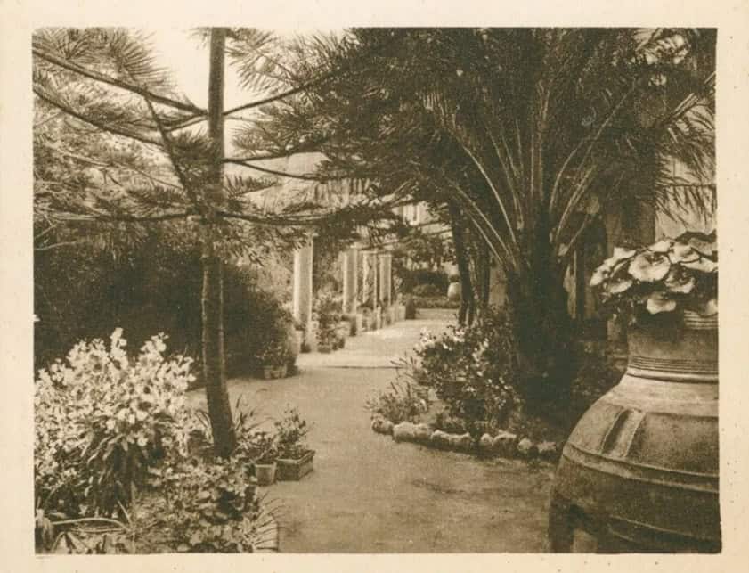 Pergolato dell’Albergo Pagano
